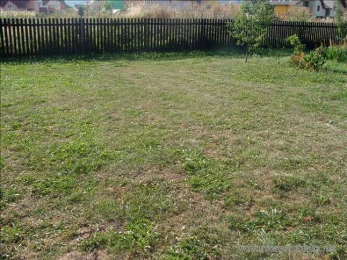 Şapte loturi de teren vor fi scoase la licitaţie