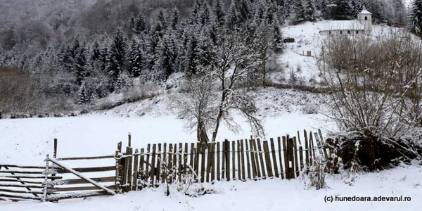 runcu mare foto daniel guta adevarul
