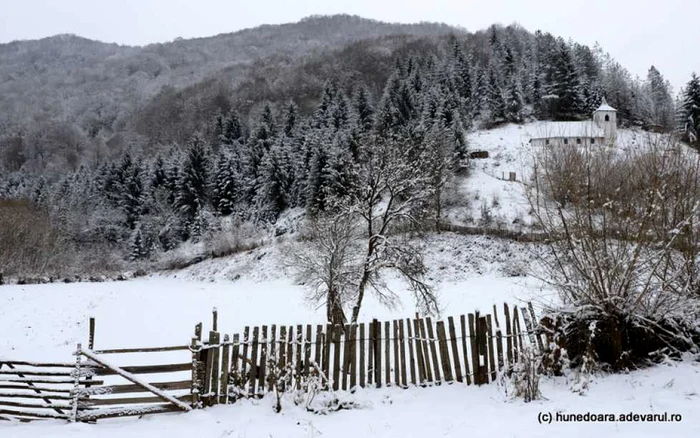 runcu mare foto daniel guta adevarul