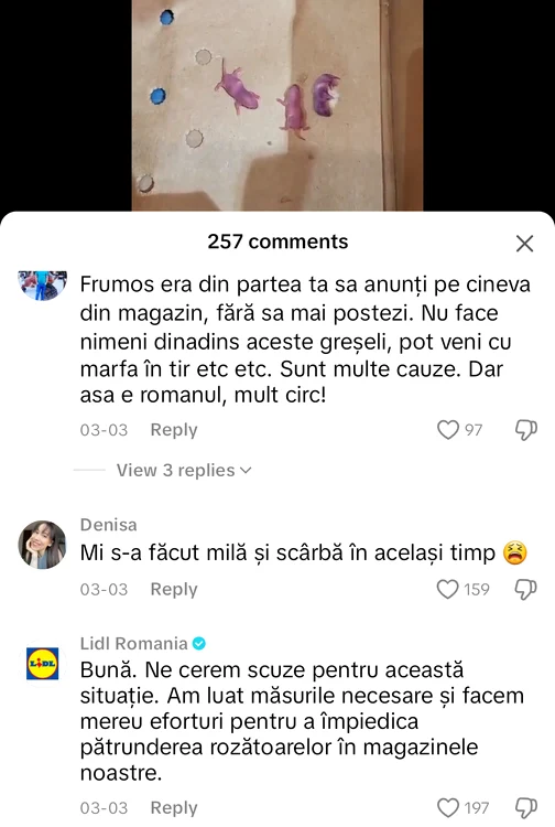 pui de șoareci lidl lugoj