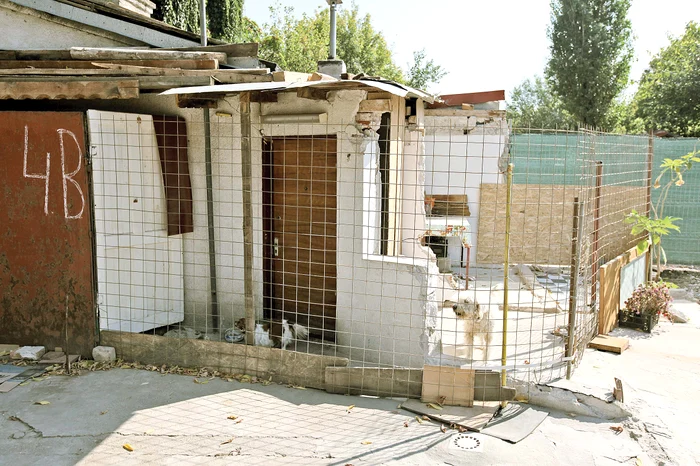 Săndel a rămas cu magazia şi cu un câine