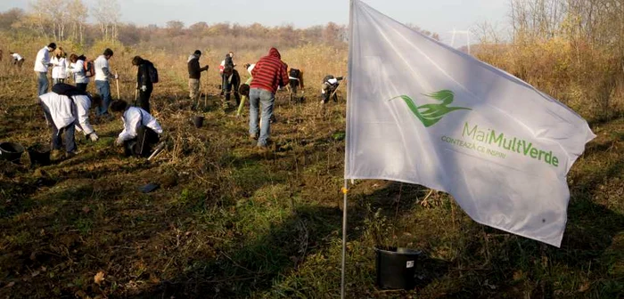 Voluntari participă la acţiuni de plantare a arborilor FOTO Adevărul