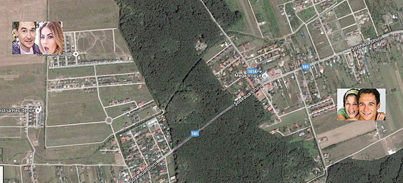 O pădure  îi desparte  pe foştii soţi
