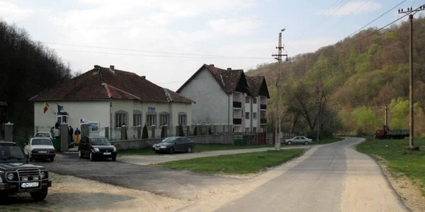 ceru băcăinţi