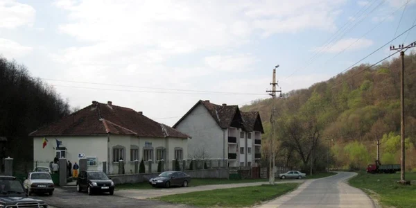 ceru băcăinţi