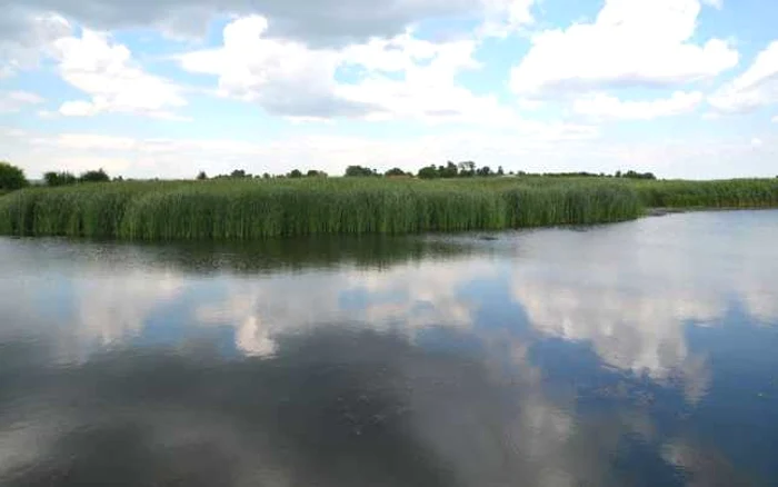 Teritoriul GAL Siretul Verde este format din nouă localităţi