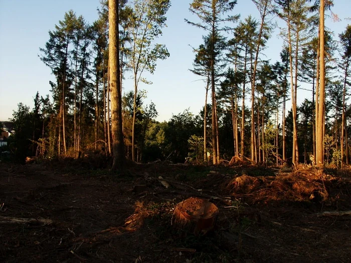 FOTO: newsbucovina.ro