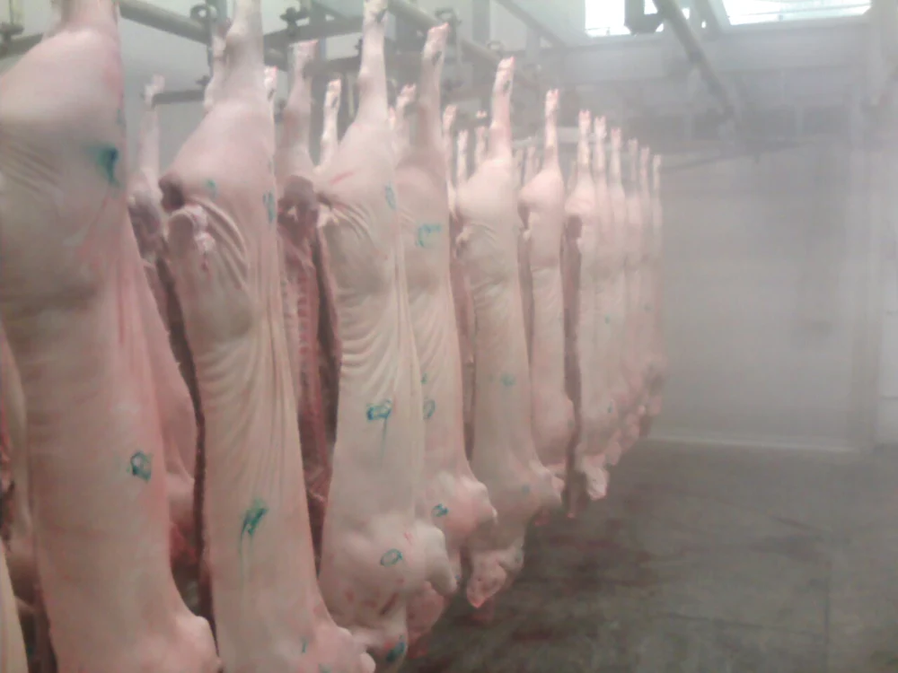 Arad: 300 de kilograme de preparate din carne oprite de la comercializare în ultima săptămână
