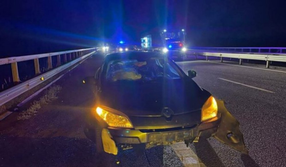Accident pe autostrada A3. Două mașini au lovit o vacă, iar una dintre ele s-a răsturnat