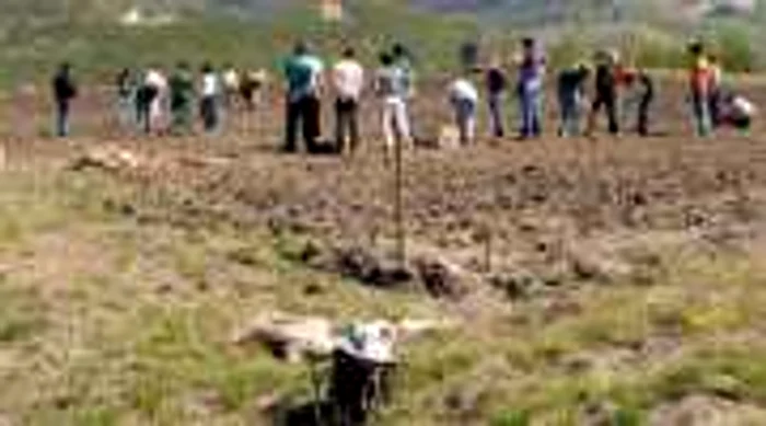 Împădurirea terenurilor agricole, amânată din nou