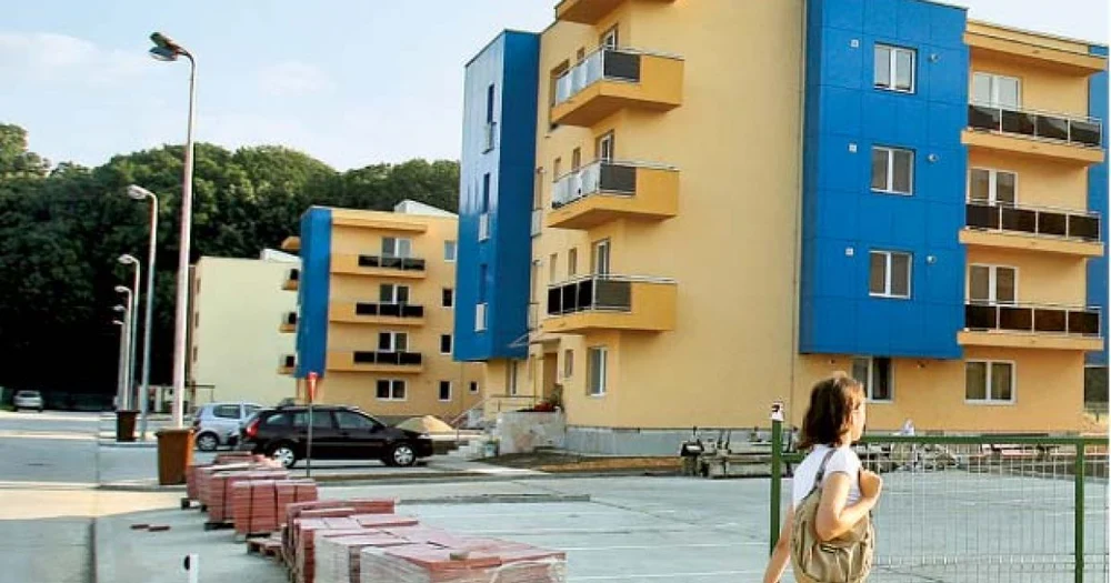 Federația Greenfield cere dezbatere publică extinsă pentru declararea Pădurii Băneasa ca arie protejată: „Proiectul a fost deturnat”