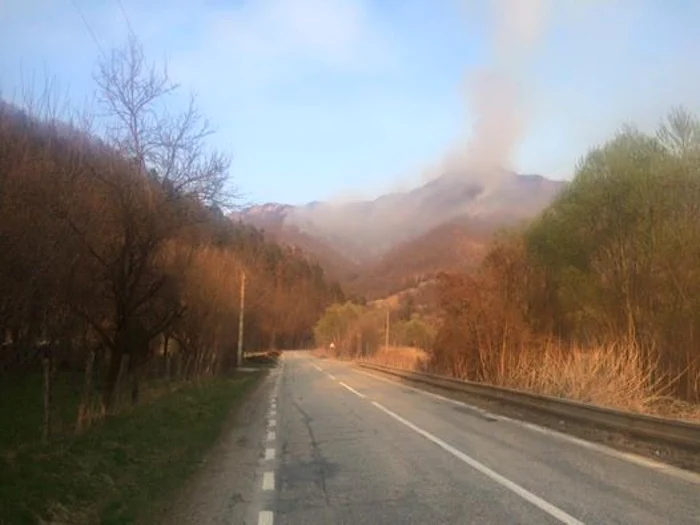 Incendiul s-a extins pe o suprafaţă de 10 hectare