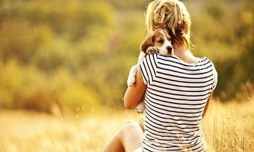 Sunt calme şi iubitoare  jpeg