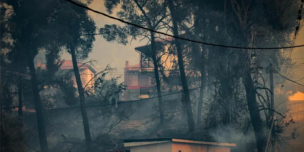 Incendiu în Siviri, pe brațul Kassandra din Halkidiki FOTO X