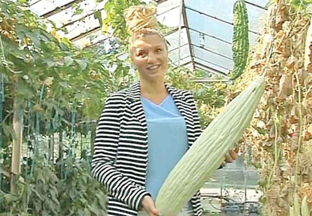 Are culoarea alb-verzuie, un metru lungime și cântăreşte peste 3 kilograme