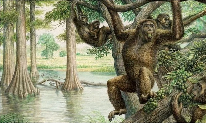 Alternativa europeană a evoluției umane  jpeg