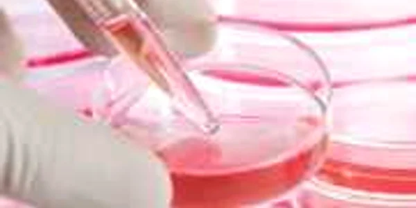 iPS, celulele care pot repara organismul