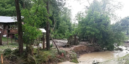 Viituri în comuna Goleşti - Vâlcea Foto Ana-Maria Carstea