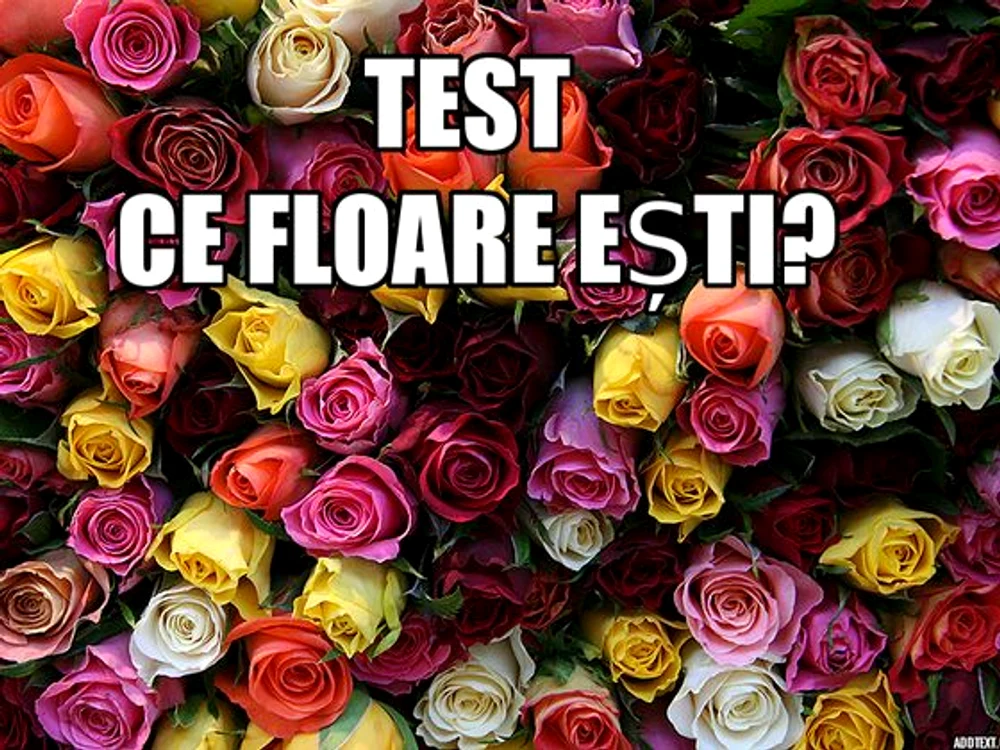 Test - Ce floare ești?foto: playbuzz.com