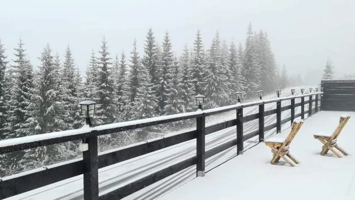 
    Stratul de zăpadă este cuprins între cinci și opt centimetriFoto: Tgc Constantin/Meteo Plus  