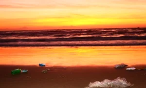 gunoaie pe plaja jpeg