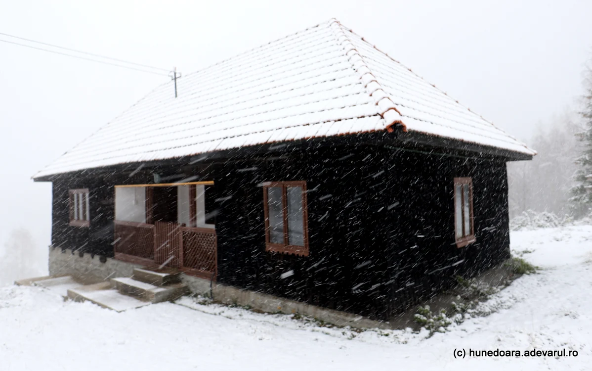 A nins în Ținutul Pădurenilor. Foto: Daniel Guță