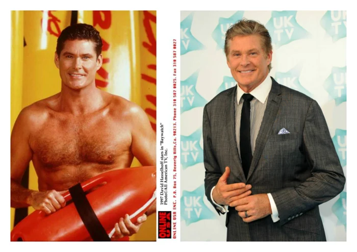 david hasselhoff
