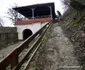 Cetatea Devei Foto Daniel Guță (8) jpg