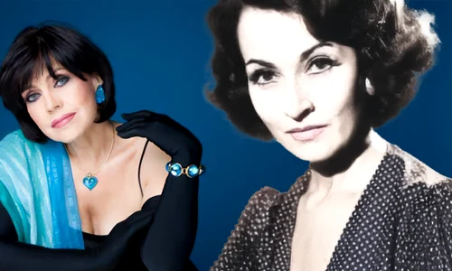 banner sanda taranu png
