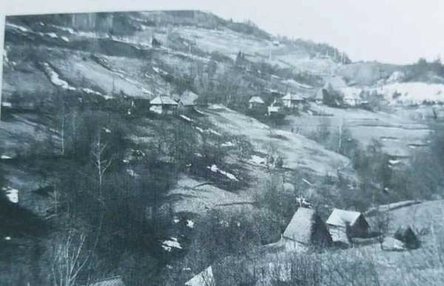 case alba geamana