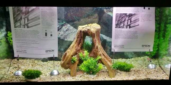epson lansare imprimante foto adevarul