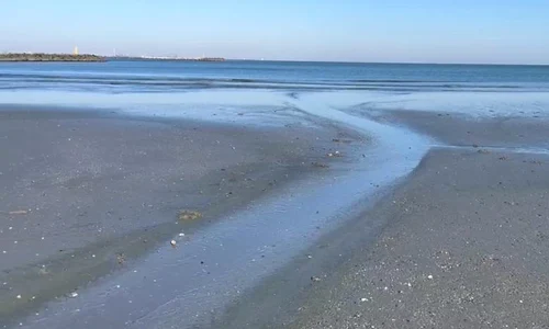 Marea Neagra dupa furtuna sursa foto A I  2 jpeg