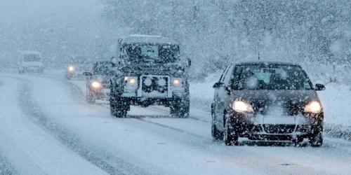 ninsori Marea Britanie