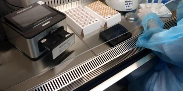 Real Time PCR