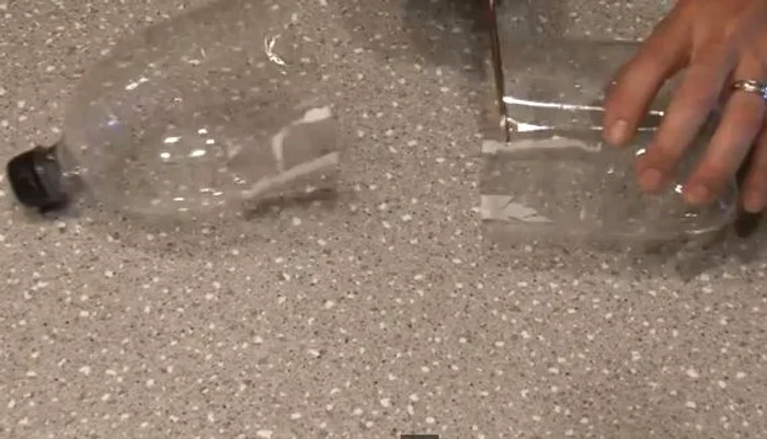 
    Cum să scapi de ţânţari, simplu şi ieftin  