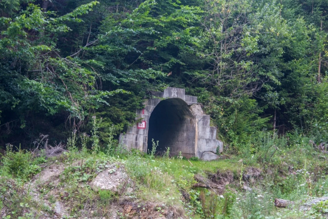 valea vinului 12