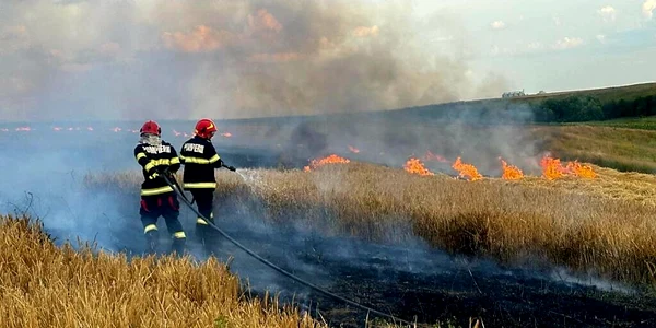 pompieri stingere incendii vegetatie   foto arhiva ISU Olt (6) jpeg
