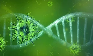 2 coronavirus g279cd6ae5 1280 jpg jpeg
