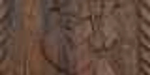 Ultimul cântreț la vioară, piesă din expoziția de la Muzeul Golești