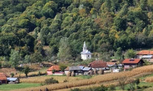 rosia jpg