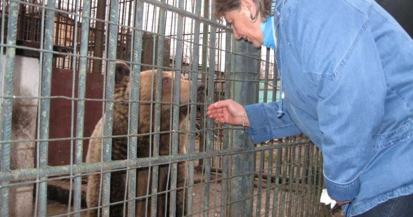 Directoarea Grădinii Zoologice din Târgovişte, Mihaela Biculescu, s-a despărţit cu lacrimi în ochi de Teddy şi Ochilă