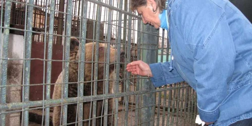 Directoarea Grădinii Zoologice din Târgovişte, Mihaela Biculescu, s-a despărţit cu lacrimi în ochi de Teddy şi Ochilă