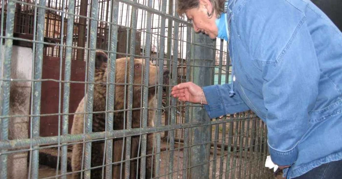 Directoarea Grădinii Zoologice din Târgovişte, Mihaela Biculescu, s-a despărţit cu lacrimi în ochi de Teddy şi Ochilă