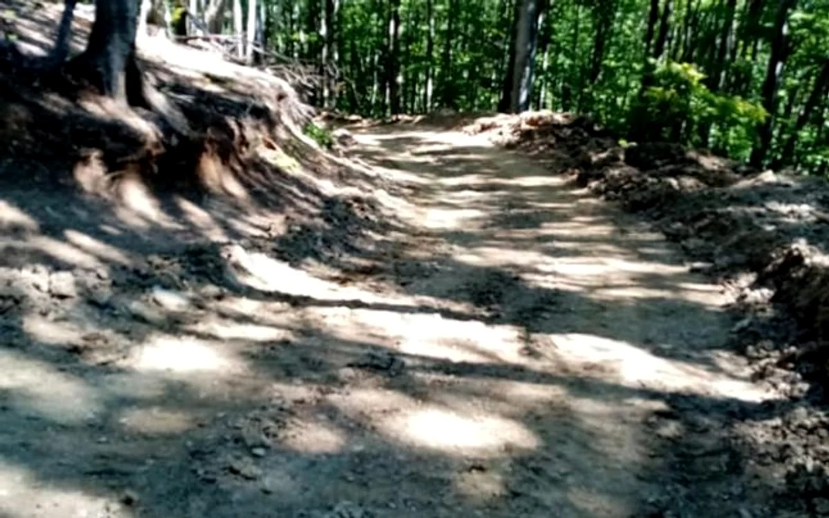 Drumul forestier a fost amenajat fără vreo aprobare                               FOTO: Garda de Mediu Gorj