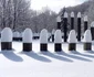 Sarmizegetusa Regia iarna Foto Sorin Zgăvârdean (7) jpg