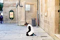 Spania 1 copy jpg