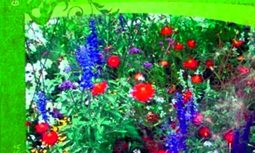 1 47019 original jpg jpeg