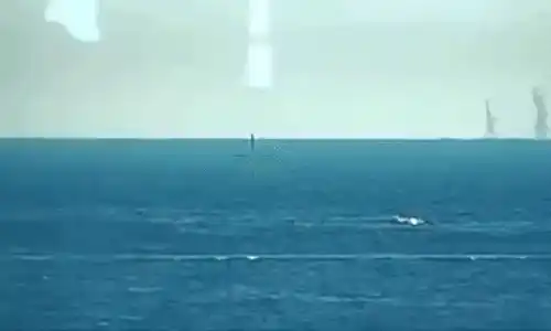 GIF drona neptun deep