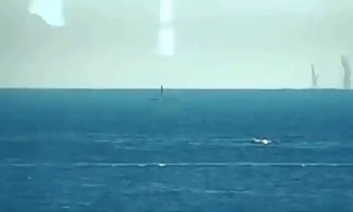 GIF drona neptun deep