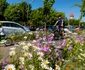 Cluj Napoca Foto Primăria Cluj Napoca Facebook 9 jpg